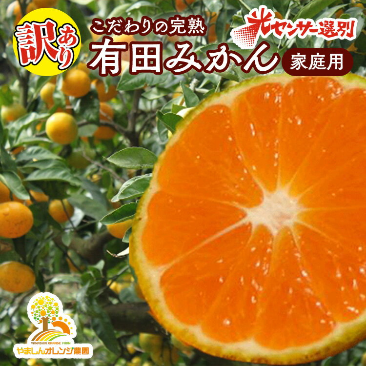 【ふるさと納税】【先行受付】【訳あり】有田みかん 選べる内容量 ｜ 農家直送 訳あり ご家庭用 サイズ混合 光センサー選別 温州みかん みかん 訳あり わけあり 家庭用 ※2025年11月中旬～12月下旬頃に順次発送予定 ※北海道・沖縄・離島への配送不可