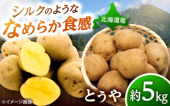 じゃがいも とうや 5kg | じゃがいも とうや 野菜 やさい 北海道 産地直送 | 道の駅 真狩フラワーセンター [BPAM017]