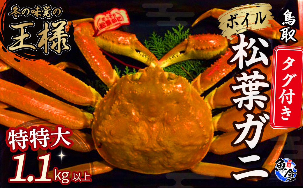 
            【先行予約】【魚倉】タグ付きボイル松葉ガニ（特特大1.1kg以上）冷蔵 カニ ボイル 松葉ガニ タグ付き 新鮮 カニ爪 ズワイガニ ずわいがに 期間限定 国産 鳥取県 倉吉市
          