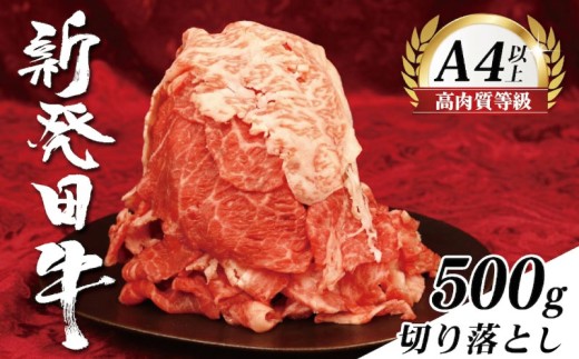 【新潟の宝】牛肉 切り落とし 500g 肉 和牛 霜降り ブランド牛 新発田牛 にいがた和牛 しゃぶしゃぶ 小分け 小間切れ 新潟県 新発田市 新潟 新発田 近江牛 神戸牛 松阪牛 米沢牛 三大和牛 に負けない えのもとミート enomoto001