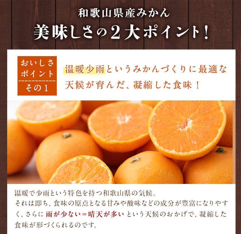  【訳あり/ご家庭用】 先行予約 和歌山県産みかん 約5kg【サイズ混合】 サンファーム《10月上旬-1月下旬頃出荷》和歌山県 紀の川市