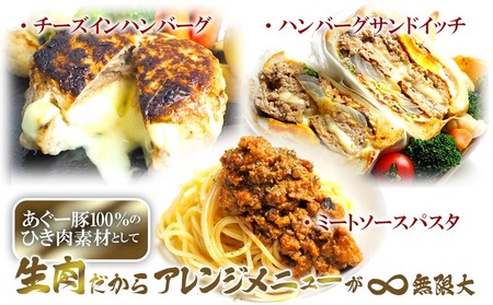 ハンバーグ【訳あり】あぐー豚肉ハンバーグ 750g