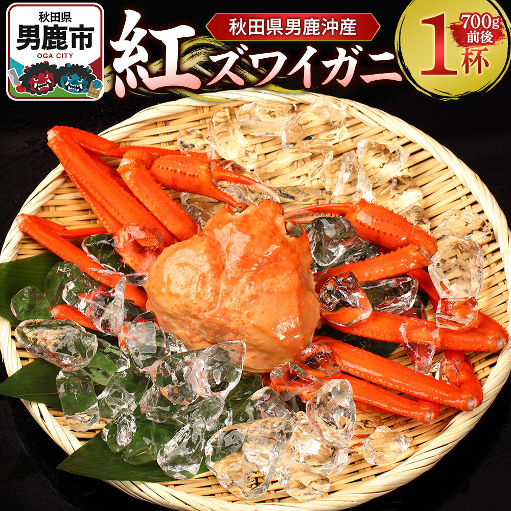 【ふるさと納税】男鹿沖産紅ズワイガニ 700g 前後×1杯 男鹿なび 蟹 カニ 国産 秋田 ずわい蟹 ずわいガニ