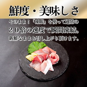 ぶり 切り落とし ブリカマ2Pセット 計1Kg 徳島ブランド すだち 鰤 ブリ 刺身 ぶりしゃぶ 丼 ブリカマ 焼き魚 スダチ 海産物 冷凍 徳島 小松島市