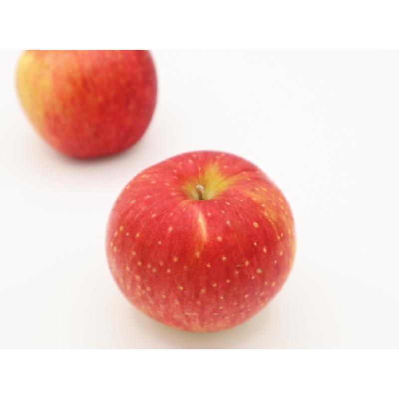 【2025年10月下旬発送】訳ありりんご約3kg（7～12個程度）|おまかせ品種|青森県五所川原市