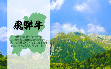 【定期便3回】北方町飛騨牛祭り すき焼き編