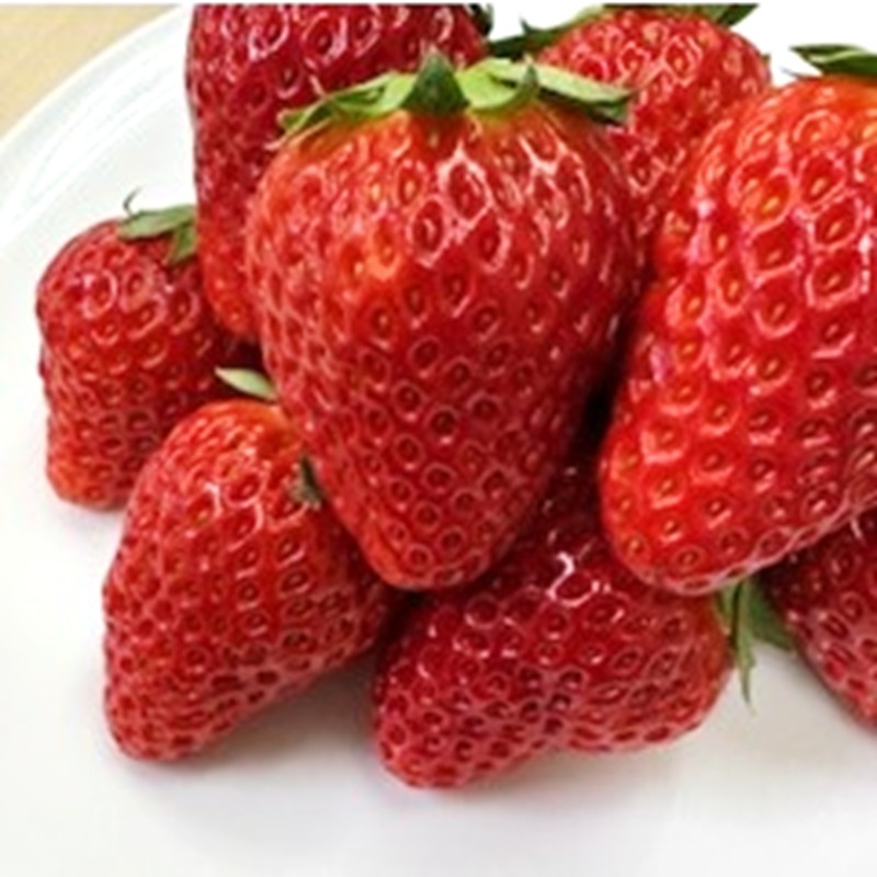 【2026年12月下旬～2027年5月発送予定】泉南市産　旬のいちご・平飼いたまご・旬野菜5品セット ※お届け不可地域あり【015D-027-2027】