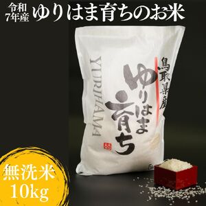 無洗米 10kg 白米 コシヒカリ こしひかり 鳥取県産 令和7年産 ゆりはま 育ち | 230M