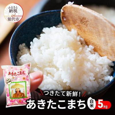 ふるさと納税 能代市 白米 つきたて新鮮!秋田県産 あきたこまち 5kg[No.5335-0181]