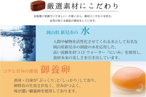 H-29 はんなまちょこ15個
