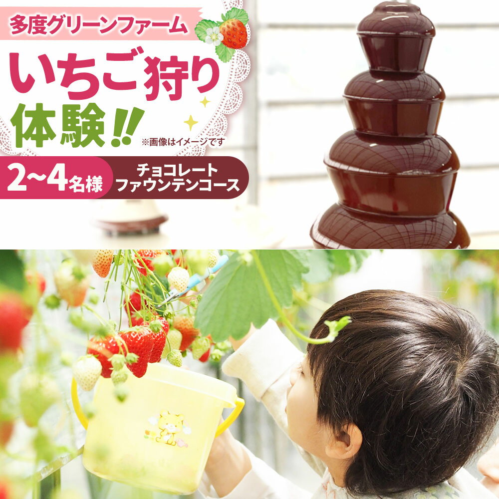 【ふるさと納税】＜選べるご利用人数＞多度グリーンファーム いちご狩り体験 2名様 / 3名様 / 4名様 いちご狩り 30分間食べ比べ チョコレートファウンテン付 いちご イチゴ 苺 フルーツ くだもの 果物 果実 デザート 体験 三重県 桑名市 送料無料