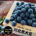 【ふるさと納税】【令和5年産（昨年収穫分）】川北黒大豆　Lサイズ粒　500g×2袋