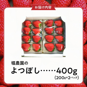 【2026年12月より順次発送】福岡県エコ農産物認定　堀農園のよつぼし400g_ いちご フルーツ 果物 先行受付 〔Fi073〕
