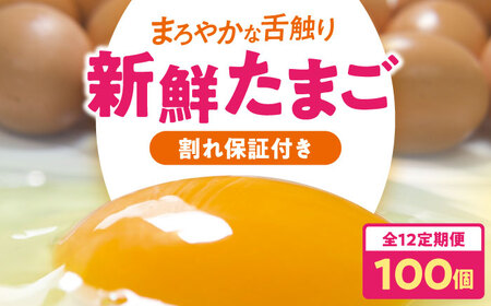 【全12回定期便】平飼い 海草たまご 10パック（100個入り）割れ保証あり 愛媛県大洲市/和田養鶏場 卵 たまご 鶏卵 卵料理 玉子[AGDQ016]