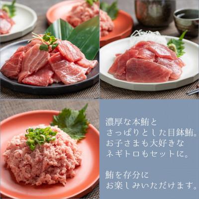 ふるさと納税 静岡市 【静岡】鮪食べ比べセット200g3種:本鮪切落し200g メバチ鮪切落し200g ねぎとろ200g |  | 02