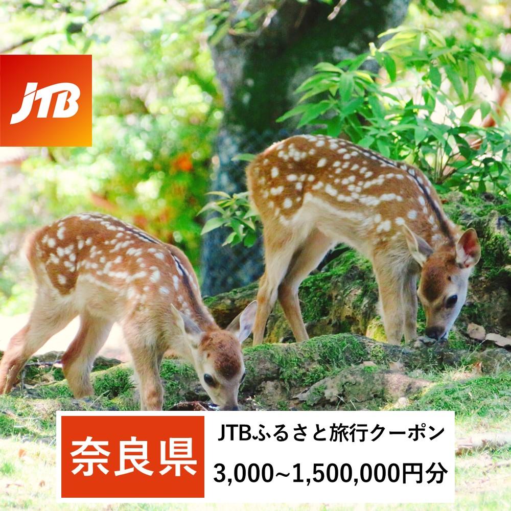 【ふるさと納税】【奈良県】JTBふるさと旅行クーポン（Eメール発行）（3,000円分～1,500,000円分）
