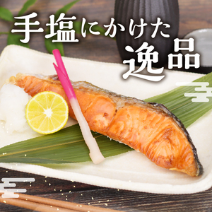 訳あり 切身 不揃い 塩銀鮭 約1.6kg (a13-093)