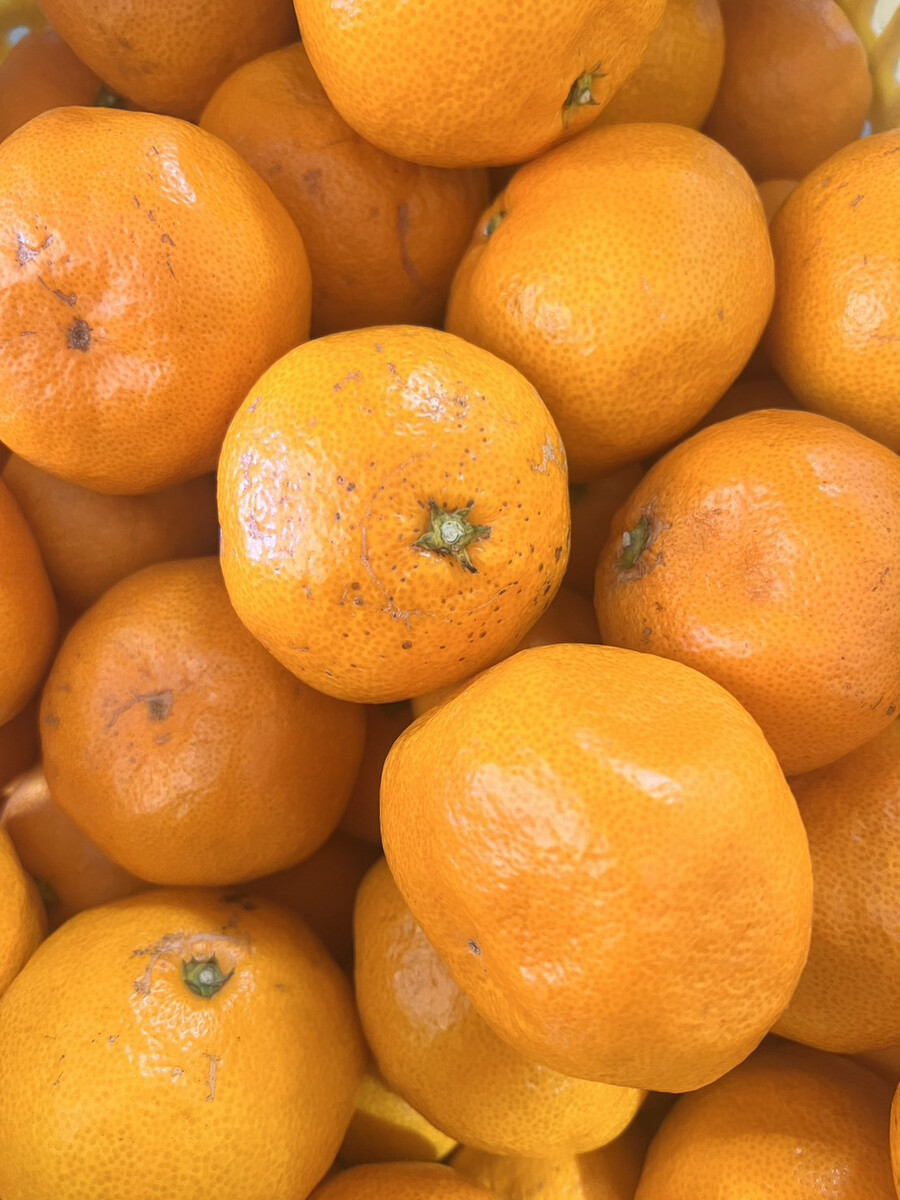 家庭用 大粒有田みかん 2kg (約14個～16個) DJ047_イメージ5