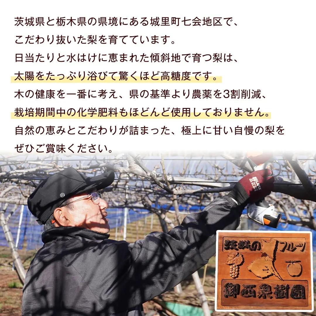 【先行予約】 梨 品種 おまかせ 約3kg（ 4～6個 ）2026年9月上旬 順次発送 農家直送（BB008）