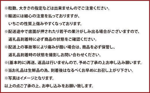 大粒あまおう 4パック 計約1000～1080g あまおう いちご イチゴ 苺 果物 くだもの フルーツ【2027年2月上旬～4月下旬発送予定】