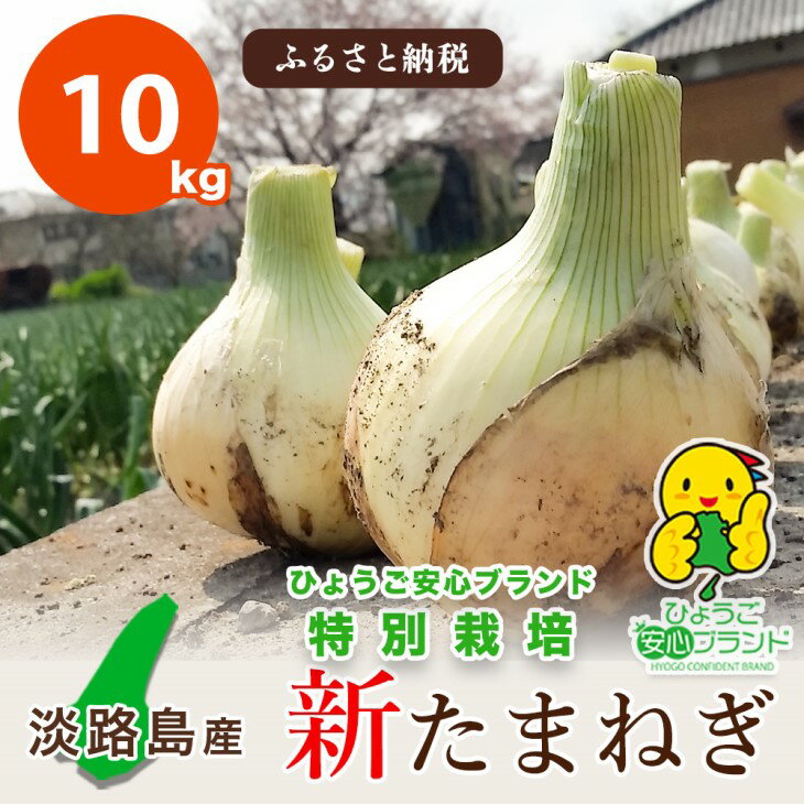 【ふるさと納税】【あさひサンファーム】【10kg】兵庫県認証★特別栽培★淡路島新たまねぎ（配送3月上旬～）