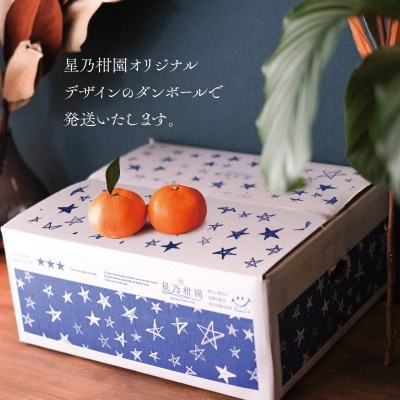 【訳あり】星乃せとか 柑橘の大トロ(3kg)【C45−87】【1535970】
