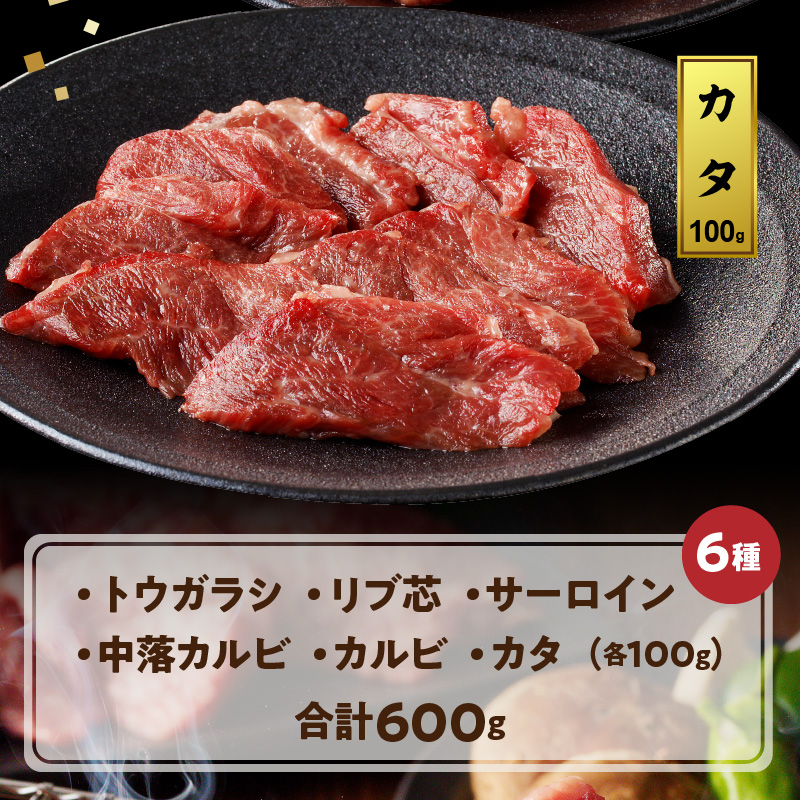 宮崎牛焼肉食べ比べ6種盛600g N0140-ZB237