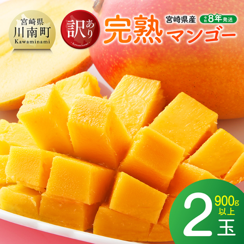【令和8年発送】宮崎県産ご自宅用完熟マンゴー　2玉　900g以上【 果物 フルーツ マンゴー 宮崎県産 完熟マンゴー みやざきマンゴー 先行予約 】