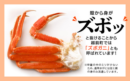 【期間限定】浜茹で 越前産 水がに 1200g（6～14肩） 脱皮したてのずわいがに【福井県 越前町 かに カニ 蟹 ずわいがに ズワイガニ 雄 ズボガニ 水ガニ かに足  冷蔵 越前ガニ 越前かに 