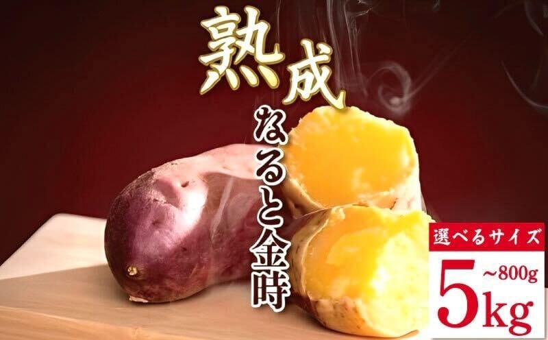 
                  なると金時 800g～5kg 選べる サイズ 《どこにも無い 熟成なると金時》 野菜 さつまいも 焼き芋 芋 鳴門金時 なると金時 ヤサイ やさい 食材 新鮮 旬 産地直送 徳島 鳴門
                