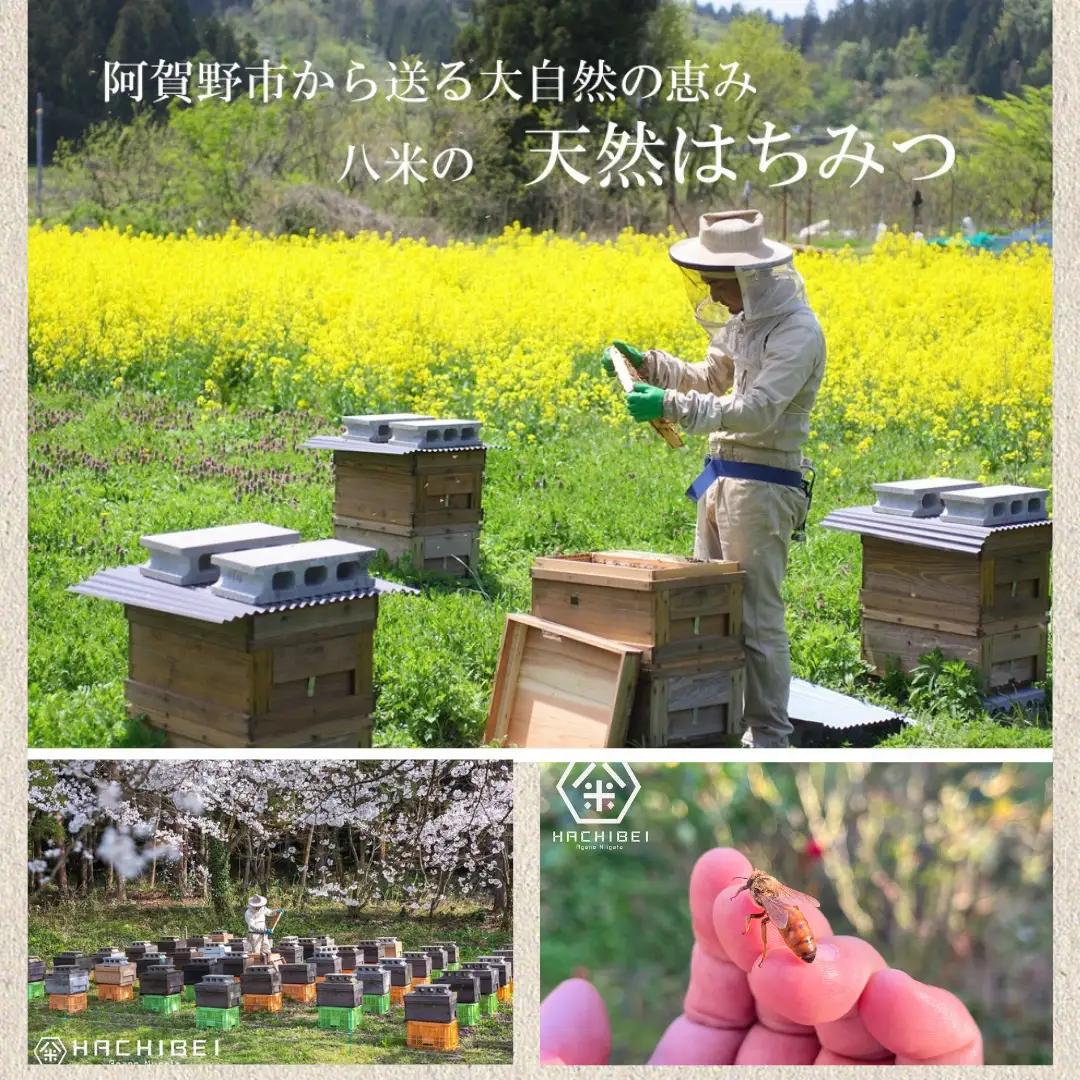 【環境大臣賞受賞】【特別賞受賞】阿賀野市産 天然 はちみつ 2本セット HACHIBEI 八米  ハチミツ 蜂蜜 ナッツ はちみつ漬け 桜 さくらの丘 春の息吹 アカシア ナッツスター エレガント プ