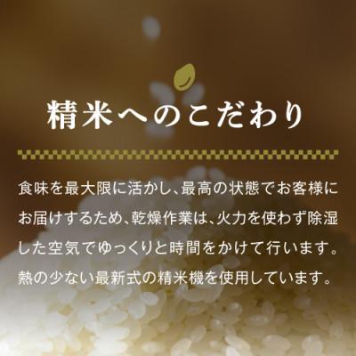 ふるさと納税 津南町 高級魚沼産コシヒカリ「雪椿」精米20kg(5kg×4袋)　特別栽培米　※一括配送 |  | 03