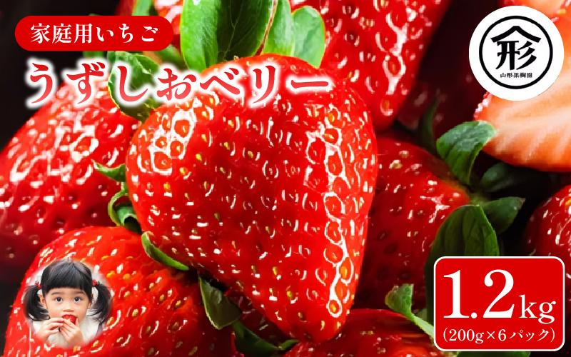 いちご 苺 6パック 1.2kg 2026年1月～4月末まで発送 うずしおベリー 果物 フルーツ デザート 旬 新鮮 季節 冬 人気 ケーキ おすすめ ギフト プレゼント 贈答 家庭用 先行予約 送料