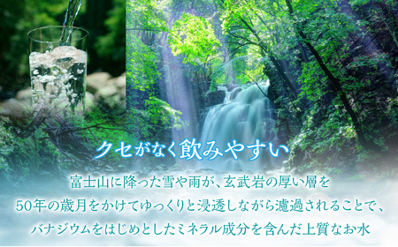【12ヶ月定期便】富士山麓 四季の水／500ml×2箱・ミネラルウォーター SWAB015水 ミネラルウォーター 定期便 定期 500ml 500ミリリットル 水 ミネラルウォーター 定期便 定期 5