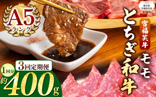 【栃木県共通返礼品】【定期便3回】宮福笑牛(とちぎ和牛) A5 モモ焼き肉 約400g  | 黒毛 和牛 牛肉 焼肉 とろける 霜降り 赤身 切り落とし ふるさと 納税 イチオシ おすすめ 栃木県 下野市 しもつけ市