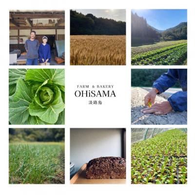 ふるさと納税 南あわじ市 令和7年産　コシヒカリ　10Kg(5kg×2)　玄米　栽培期間中農薬不使用　あいがも農法米 |  | 03