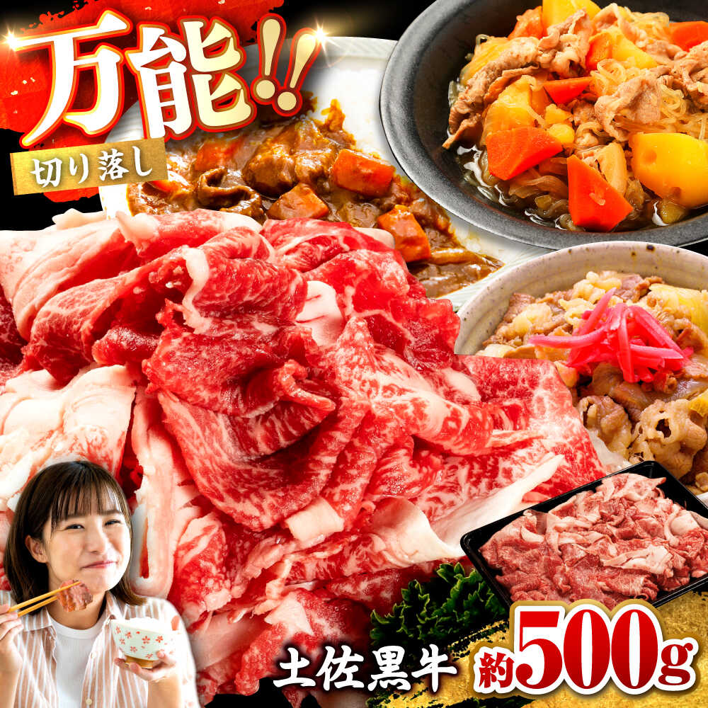 【ふるさと納税】土佐黒牛　切り落し　約500g【高知県食肉センター株式会社】[ATFC020]