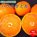 【ふるさと納税】ハウスせとか 秀品 6～15玉 和歌山県有田産【ミカン 蜜柑 春みかん 柑橘】