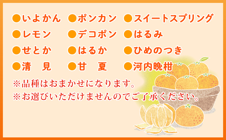 夕焼け山農園　愛媛県西予市産柑橘詰め合わせ（せとか、はるか、清見）計５kg