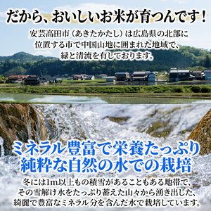 米 定期便 10ヶ月 6kg 令和5年 ミルキークイーン 広島県安芸高田市産 白米 精米