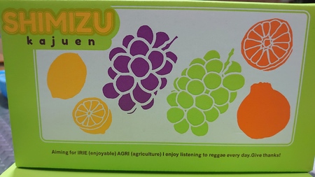 先行予約 大粒 シャインマスカット 約1kg (1房 約350g～500g×2～3房入り) 【2026年7月下旬から8月中旬発送予定】