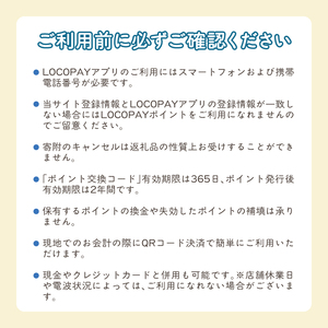 LOCOPAYデジタルポイント【15,000ポイント】