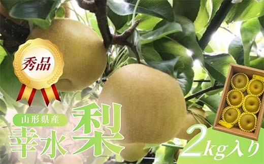 
                  【2026年9月～10月発送】 こだわりの幸水梨 2kg FSY-2781
                