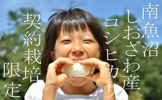 【令和7年産】【精米4Kg】契約栽培限定 南魚沼しおざわ産コシヒカリ