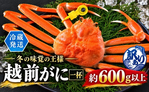 越前がに（オス）訳あり「ずわいがに」（600g以上） 1杯