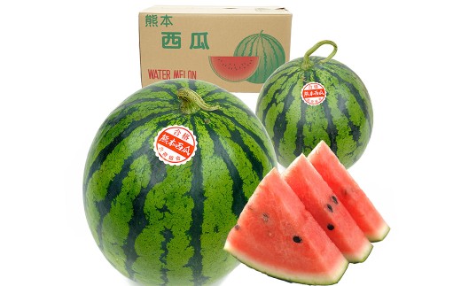 大玉すいか 2玉入り L以上 約10kg スイカ すいか 西瓜 熊本すいか 大玉 果物 くだもの フルーツ プレミアムフルーツ 果肉 果汁 甘み 旬の果物 国産 熊本県産 【 2027年5月上旬～6月下旬発送予定 】