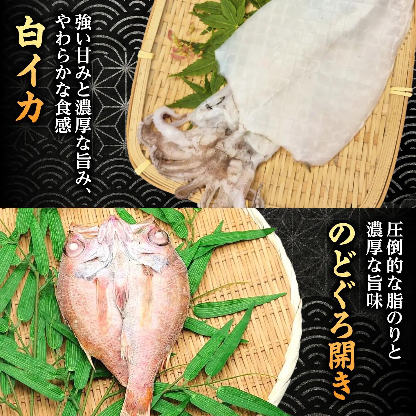 日本海（山陰の干物）セット 島根県松江市/有限会社ヤマヲ水産｜干物 セット 干物セット ひもの ひものセット 魚介類 詰め合わせ アジ イカ　ハタハタ[ALDB024]