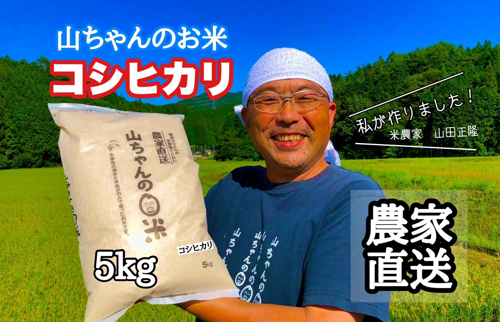 
            486.令和6年度産 農家直送「山ちゃんのお米」コシヒカリ5kg 残留農薬202項目検査済み 残留放射能測定済み 
          