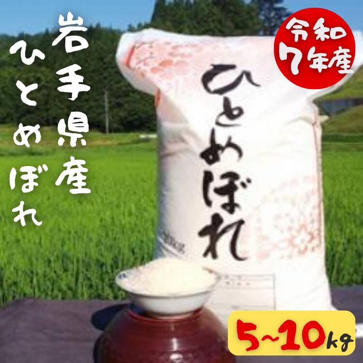 【ふるさと納税】＜令和7年産＞ 大自然で育てた ひとめぼれ 5kg・10kg 選べる内容量 米 白米 精米 ご飯 ごはん コメ こめ 岩手県 一関市