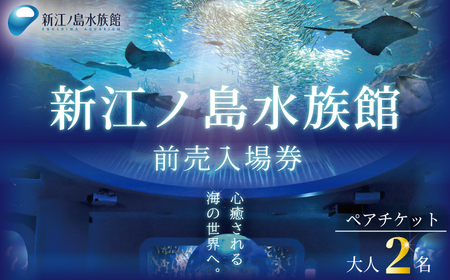 新江ノ島水族館 前売入場券 大人2枚 / 水族館 チケット 観光